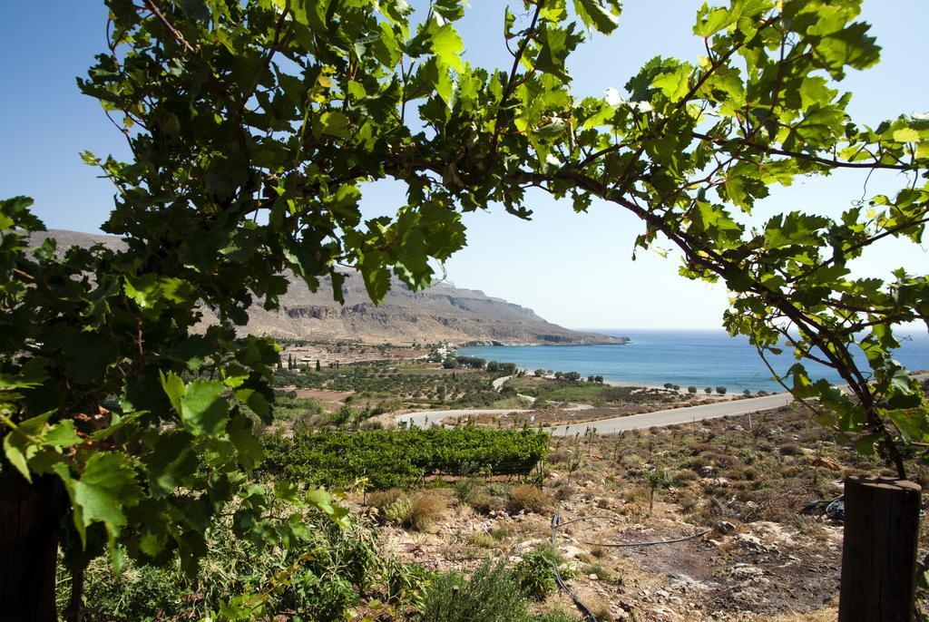 Villa Kalliopi Ιncreteble Cretan Resindences Collection Xerokampos  Exterior foto