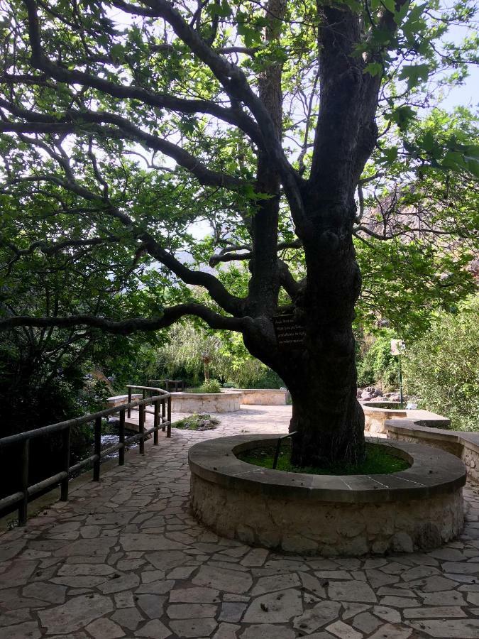 Villa Kalliopi Ιncreteble Cretan Resindences Collection Xerokampos  Exterior foto